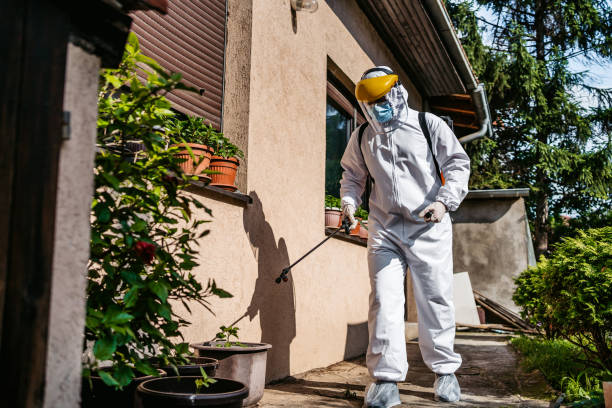 Best Wasp Removal Services  in Oostburg, WI