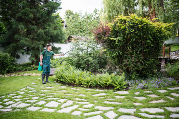 Best Pest Control Near Me in Oostburg, WI