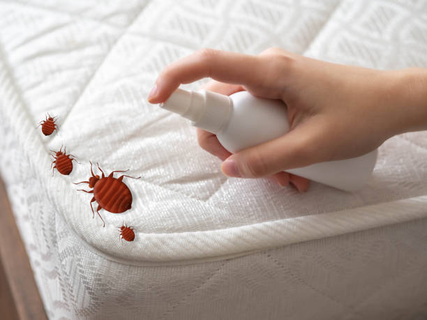 Best Commercial Pest Control Services  in Oostburg, WI