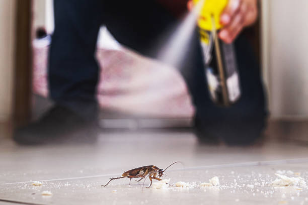 Best Pest Control Treatment  in Oostburg, WI