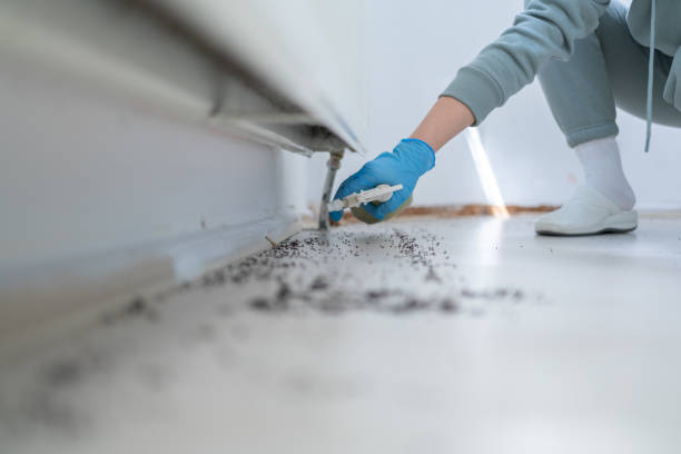 Best Residential Pest Control  in Oostburg, WI